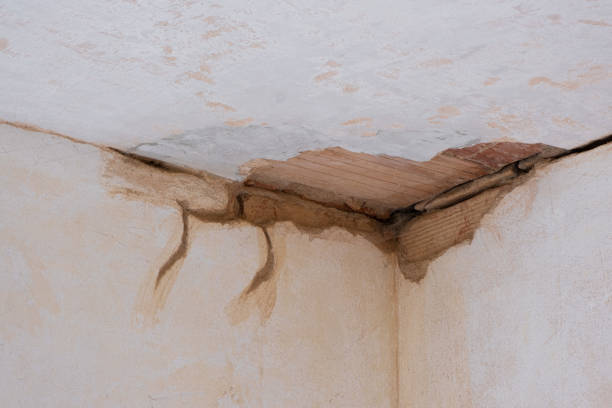 Best Emergency water damage restoration  in Cape Carteret, NC