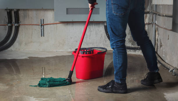 Best 24/7 water damage repair  in Cape Carteret, NC