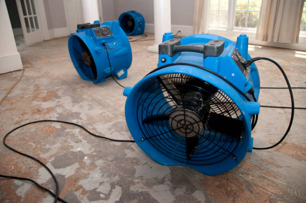 Cape Carteret, NC Water damage restoration Company