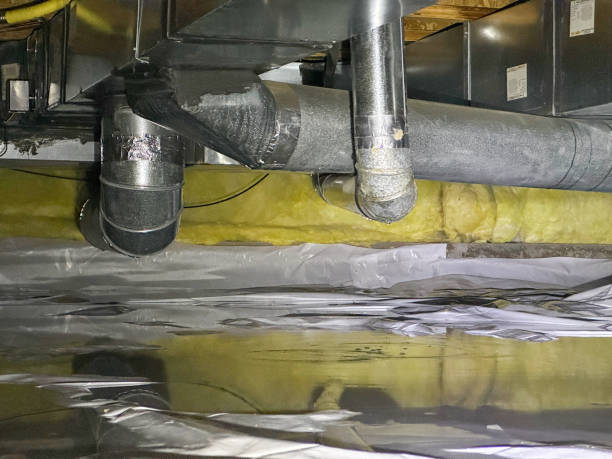 Best Mold removal after water damage  in Cape Carteret, NC