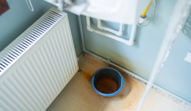 Best Water damage cleanup near me  in Cape Carteret, NC